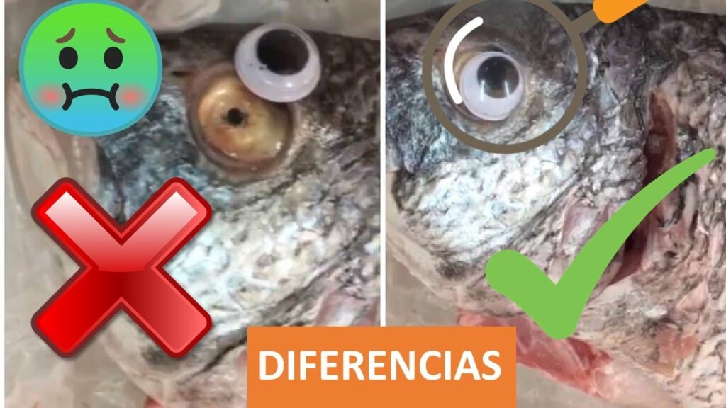 Consejos Para Saber Si El Pescado Es Fresco